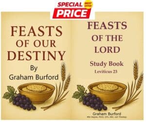 Special Price bundle